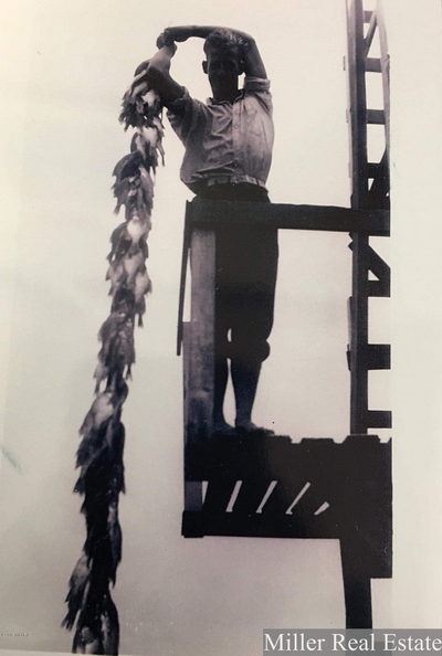 Reids Resort Thornapple Lake (Coles Landing) - Big Haul Of Fish (newer photo)